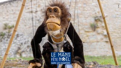 Les Singes - Compagnie Bitonio