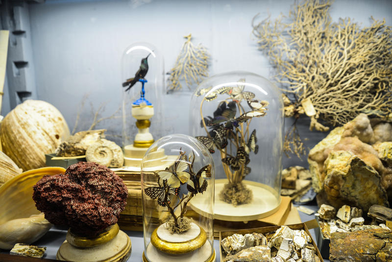 Cabinet de curiosités : des personnages de contes