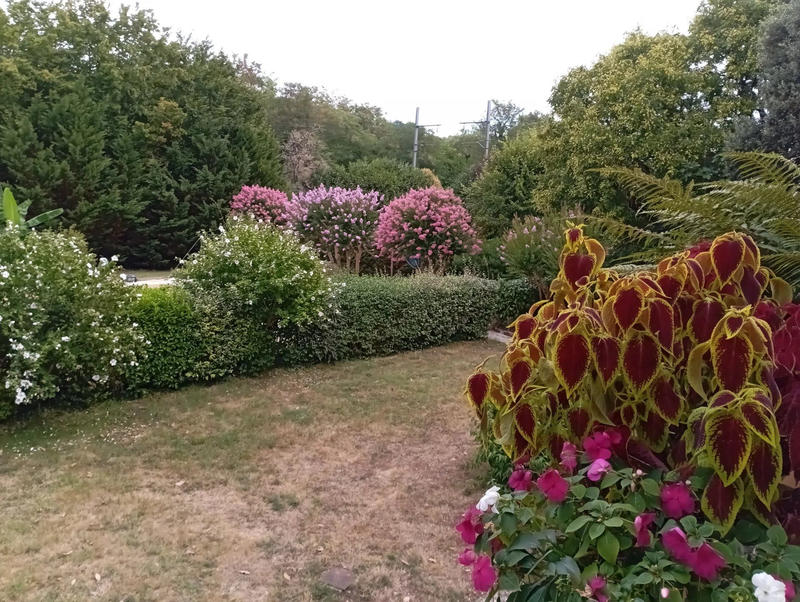 Manoir - 392 m² - 10 pièces