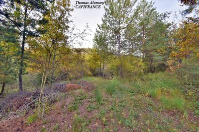 Terrain constructible - 3 802 m²