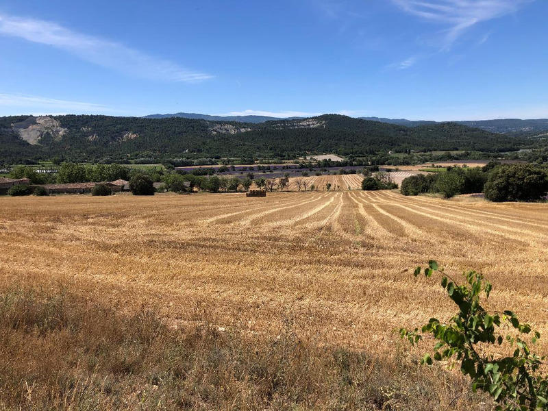 Terrain constructible - 1 311 m²