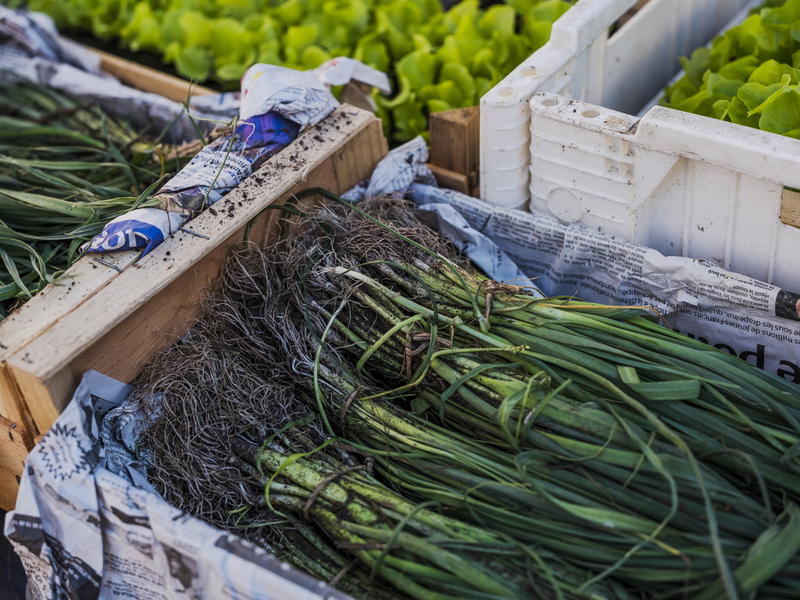 Marché hebdomadaire (fruits et légumes)