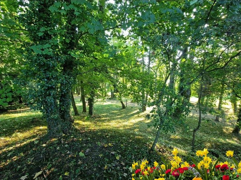 Propriété - 180 m² - 7 pièces