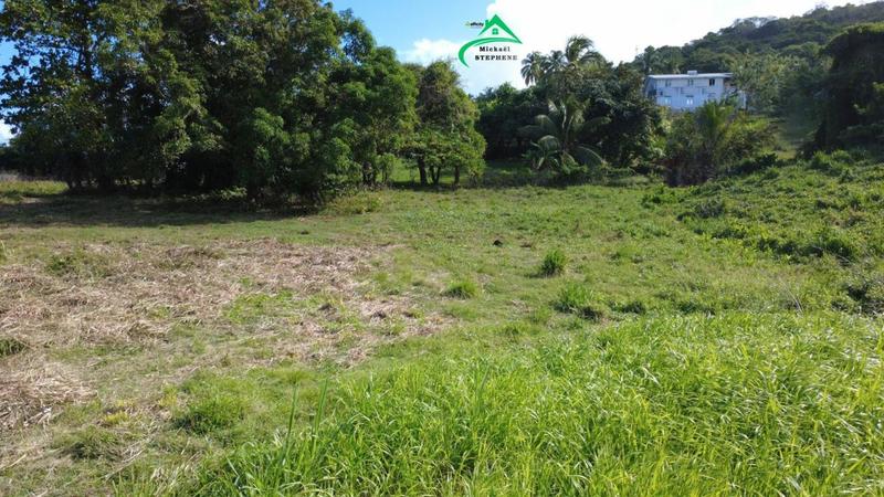 Terrain constructible - 1 241 m²