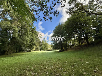 Maison - 275 m² - 13 pièces