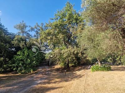 Terrain constructible - 3 000 m²