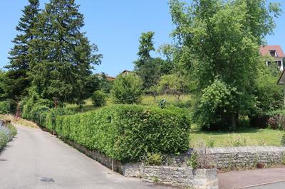 Terrain constructible - 1 963 m²