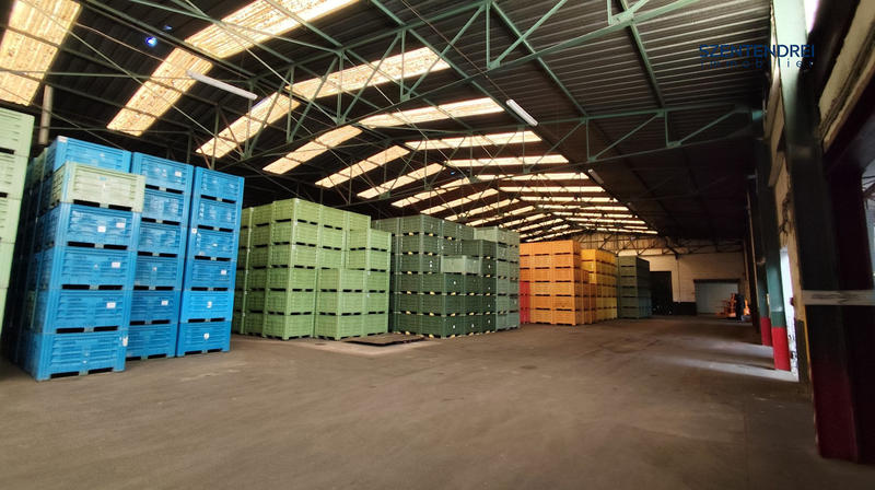 Entrepôt - 5 119 m²