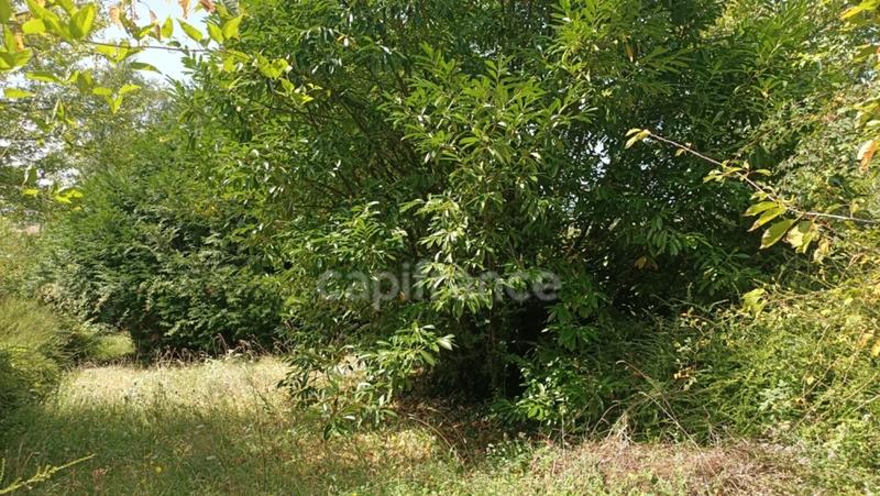 Terrain constructible - 836 m²