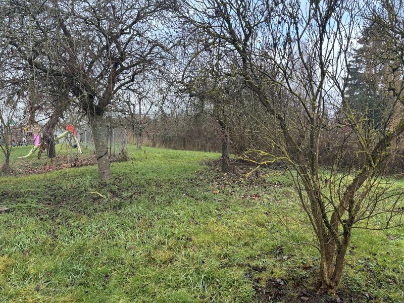 Maison - 127 m² - 5 pièces