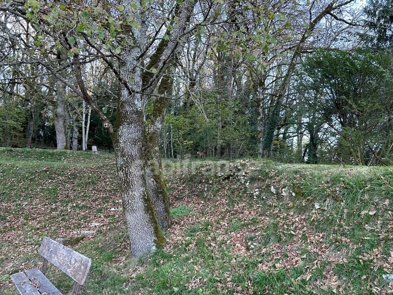 Maison - 217 m² - 11 pièces