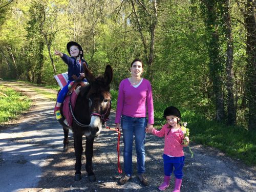 Les Ânes de la Rêverie