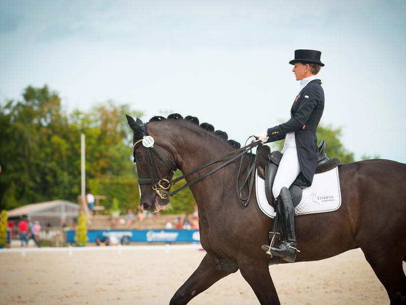 14e Dress'in Deauville