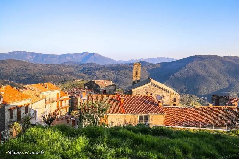 Appartement - 77 m² - 3 pièces