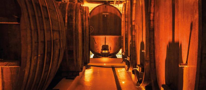 Cave de Noël : Saint Nicolas au domaine