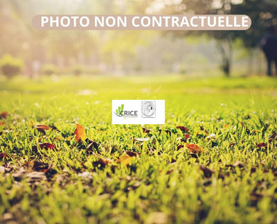 Terrain commercial - 6 800 m²