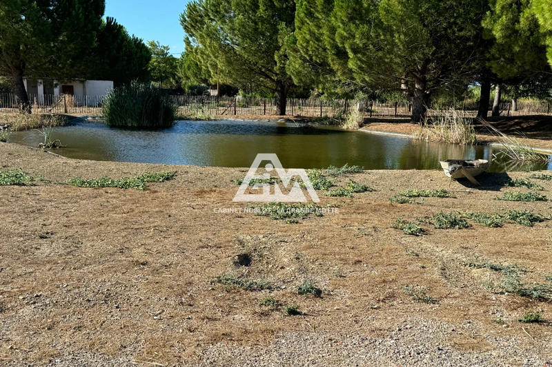 Terrain agricole - 11 000 m²