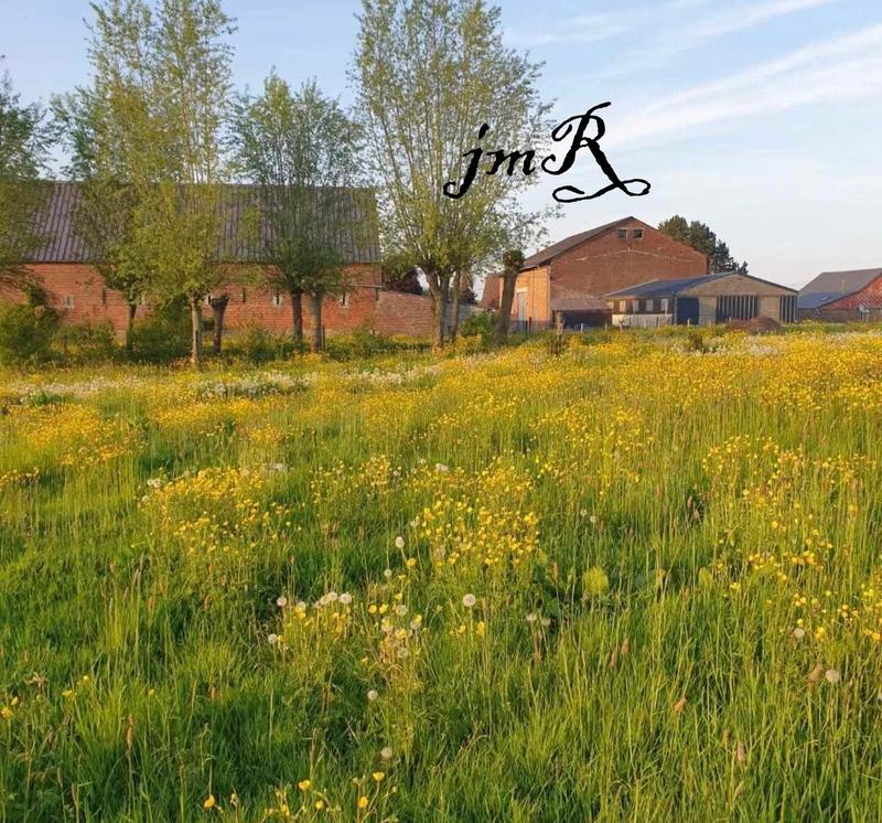 Maison - 180 m² - 10 pièces