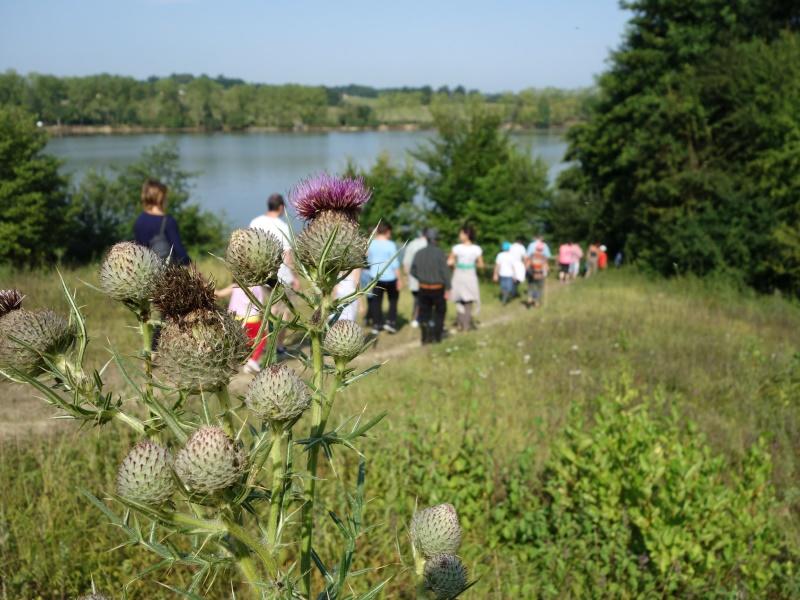 Promenade à la découverte du lac de la Prade