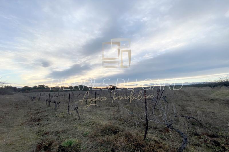 Terrain agricole - 20 000 m²