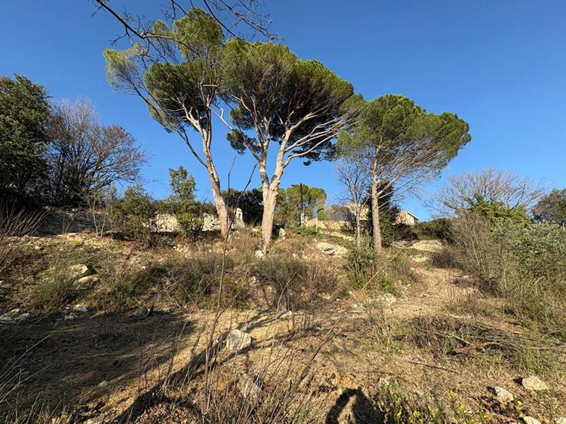 Terrain constructible - 1 245 m²