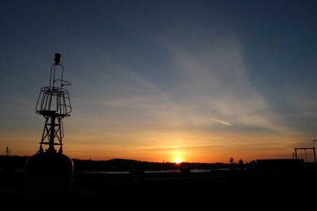 Sortie nature : la nature au lever du jour