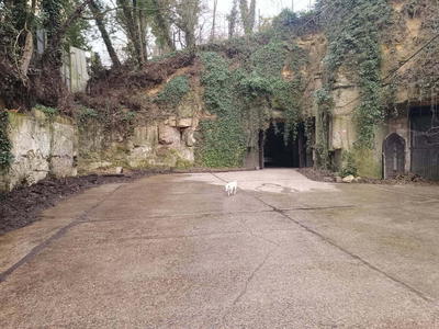 Terrain commercial - 4 310 m²