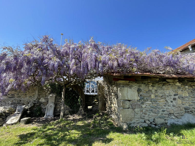 Maison ancienne - 343 m² - 9 pièces