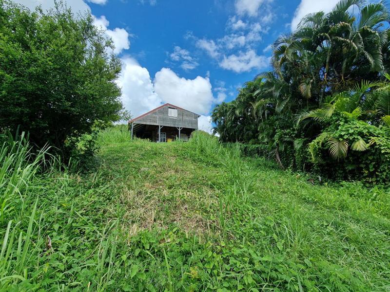 Terrain constructible - 1 215 m²