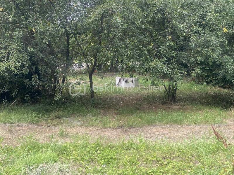 Maison ancienne - 100 m² - 4 pièces