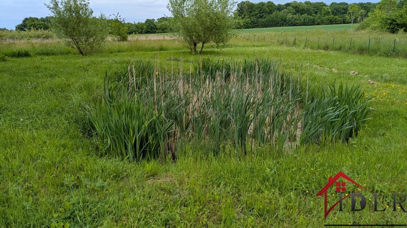 Maison - 145 m² - 4 pièces