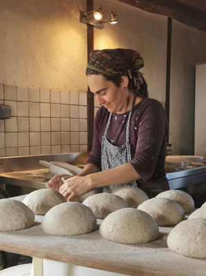 Du grain au pain, du champ au fournil !