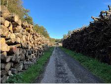 Bainc' Trail Baincthun