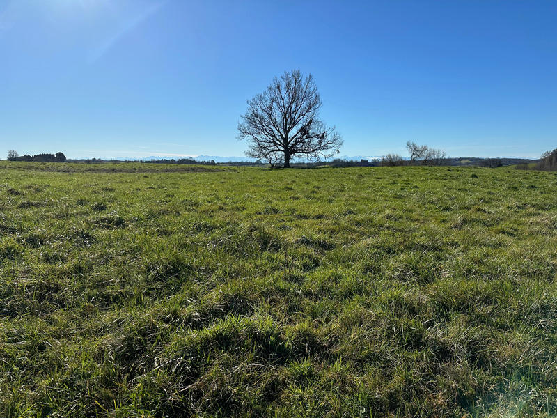 Terrain constructible - 4 403 m²