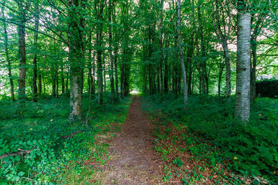 Demeure - 404 m² - 17 pièces