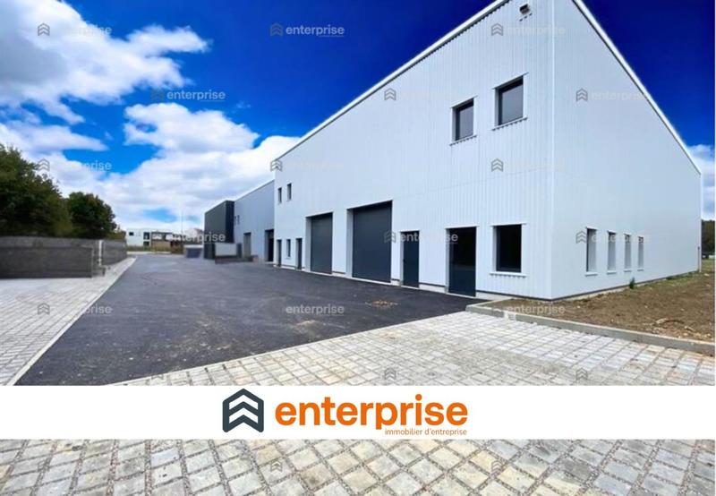 Local d'activité / Entrepôt - 297 m²