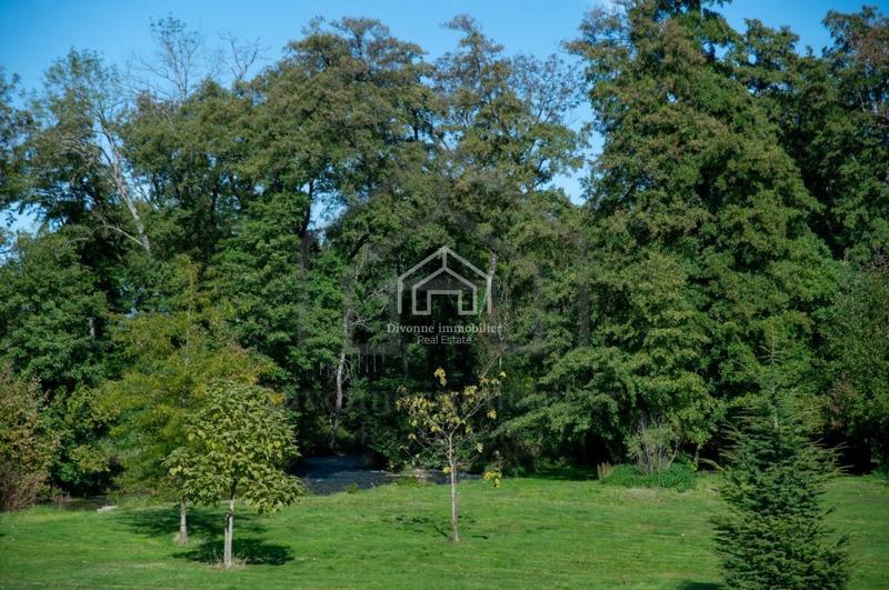 Appartement - 55 m² - 2 pièces