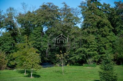 Appartement - 55 m² - 2 pièces