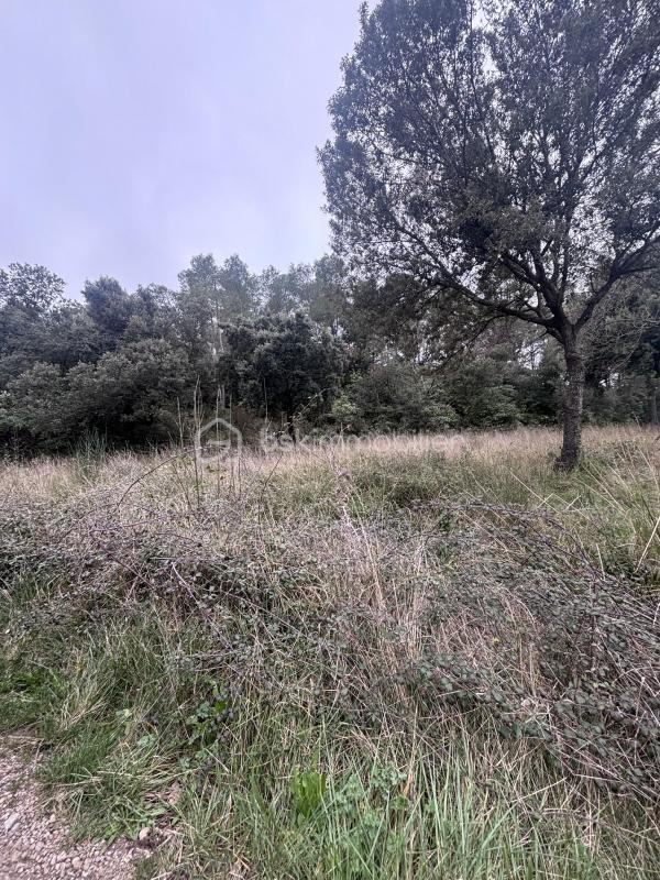 Terrain - 26 435 m²