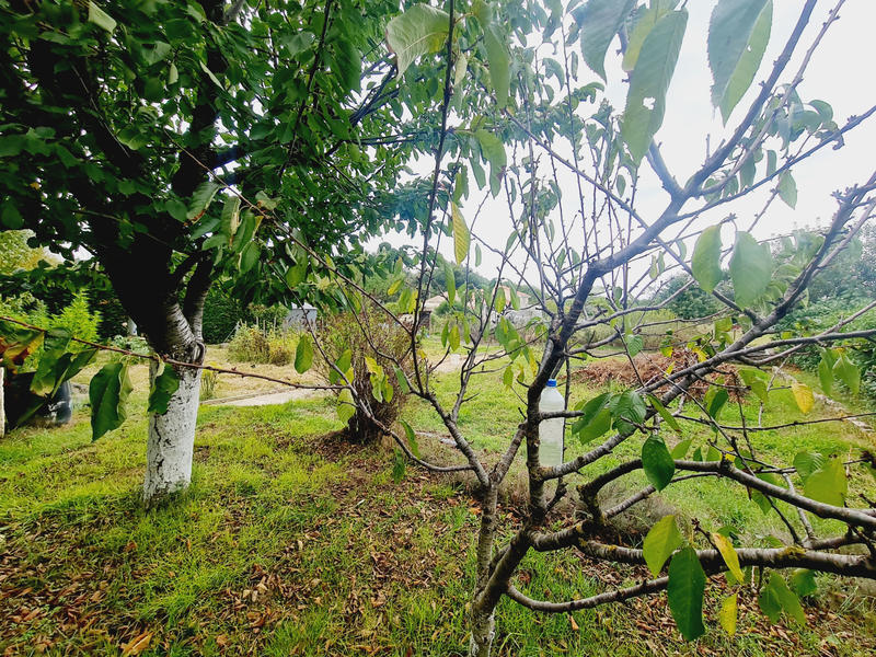 Villa - 130 m² - 7 pièces