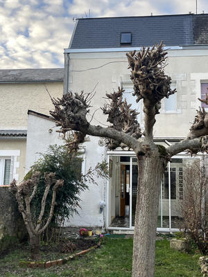 Maison - 115 m² - 5 pièces