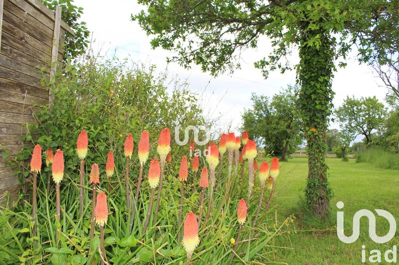 Maison - 370 m² - 10 pièces