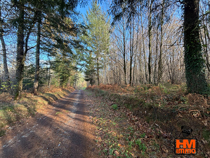 Maison - 182 m² - 6 pièces