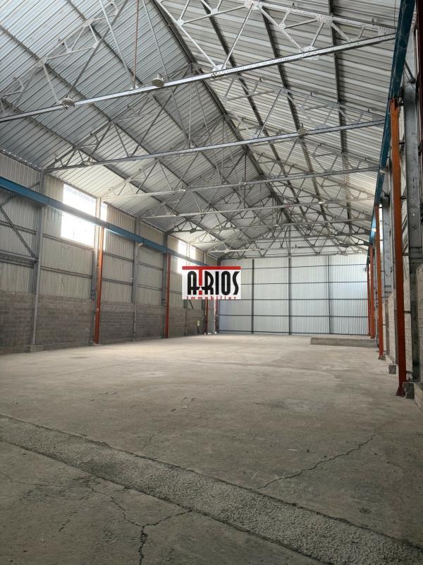 Entrepôt - 336 m² - 1 pièce