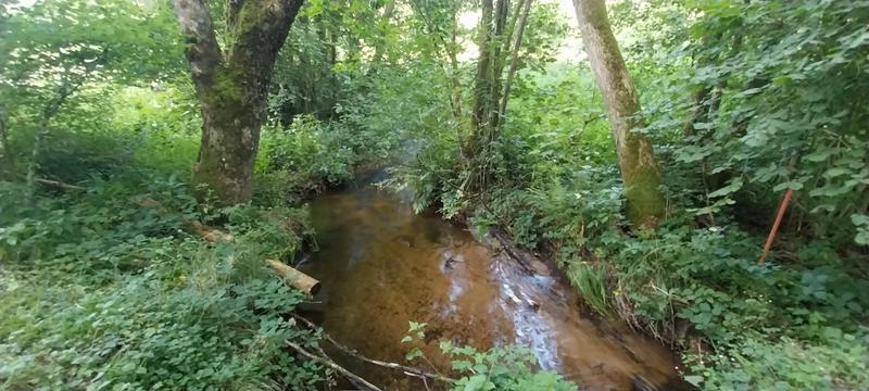 Terrain de loisirs - 3 045 m²