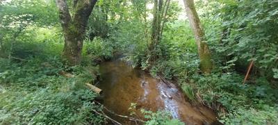 Terrain de loisirs - 3 045 m²