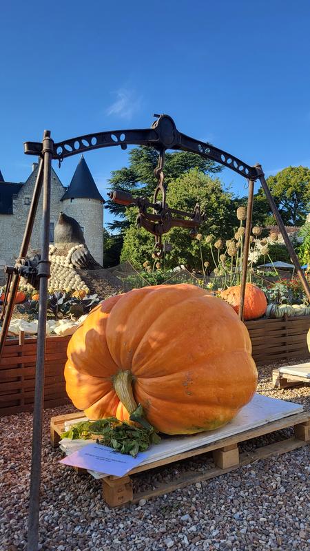 Fête de la citrouille et de l'automne au Château du Rivau