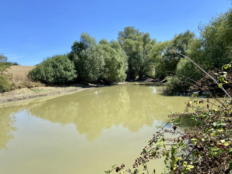 Maison traditionnelle - 373 m² - 5 pièces