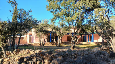 Viager - Maison - 190 m² - 5 pièces