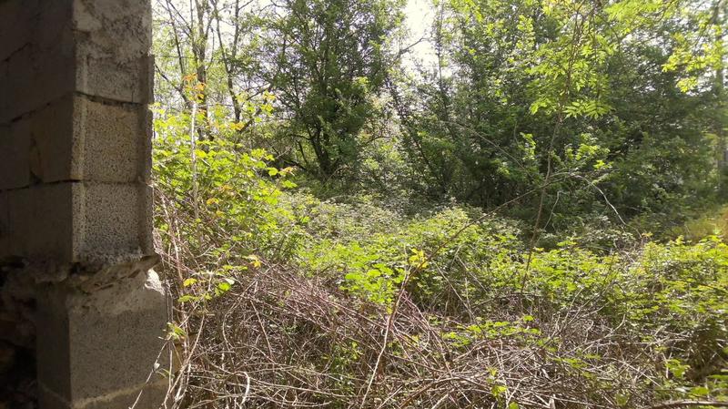 Maison - 100 m² - 2 pièces